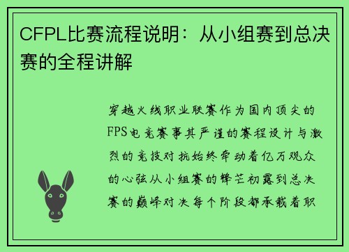 CFPL比赛流程说明：从小组赛到总决赛的全程讲解