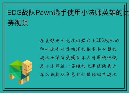 EDG战队Pawn选手使用小法师英雄的比赛视频